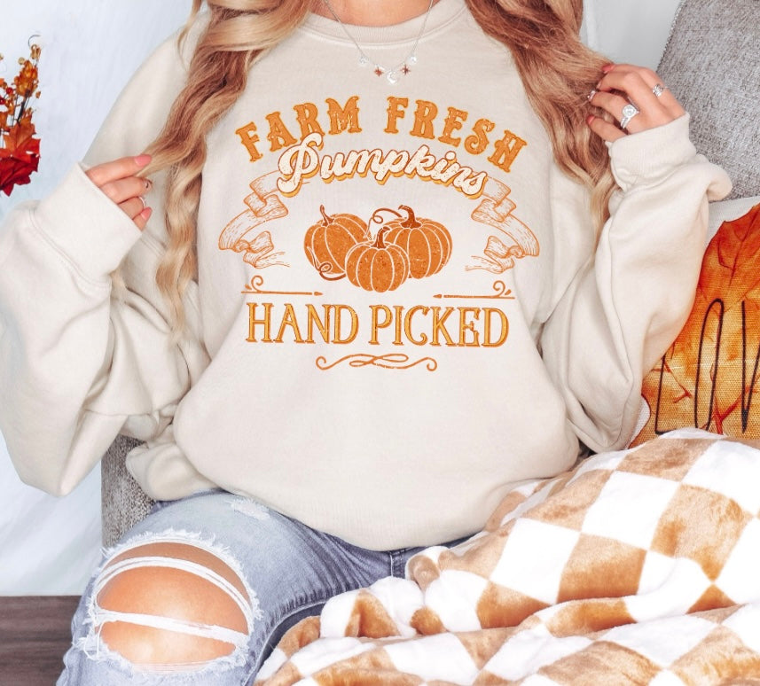 Farm Fresh Pumpkins Graphic