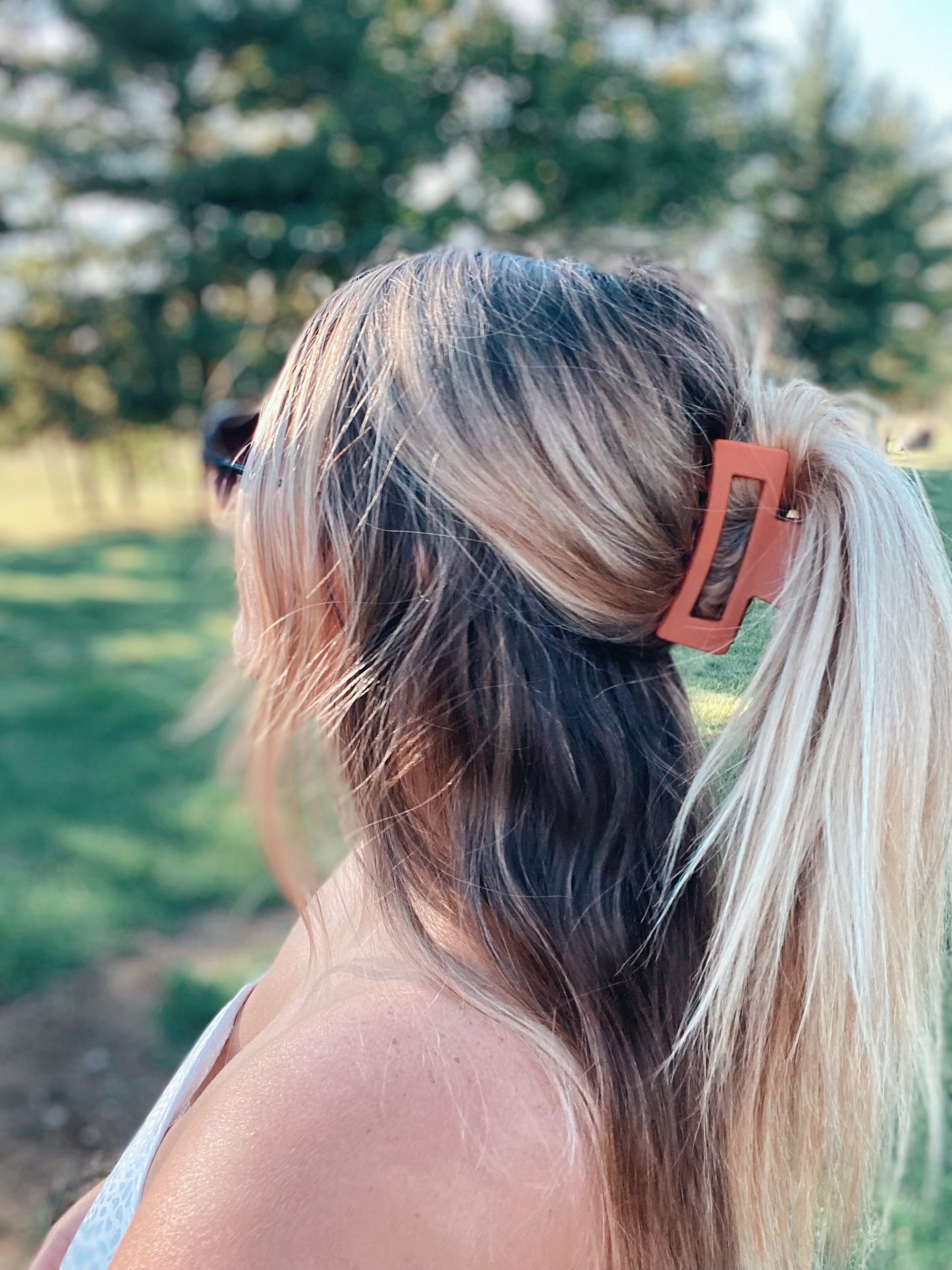 The Jenna Claw Clips